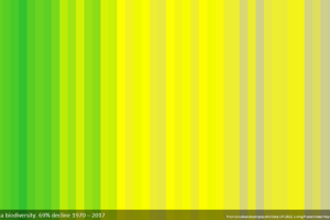 biodiversity stripes